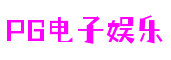 广东省深圳市pgsoft通信科技有限公司